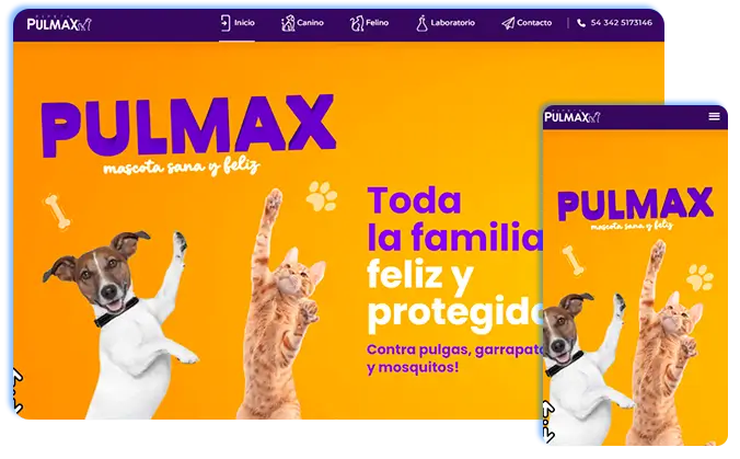 portfolio_web-pipeta-pulmax